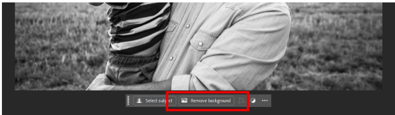 Remove Background button