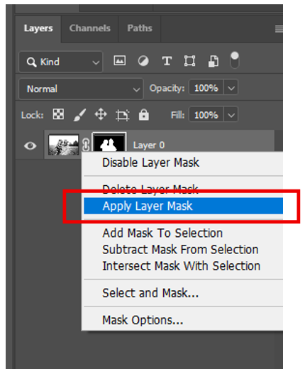 Apply layer mask option
